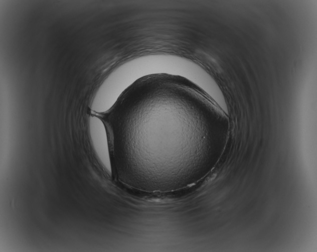 X0000086770364200705041513