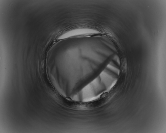 X0000086770365200705041513