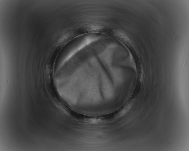 X0000086770366200705041513