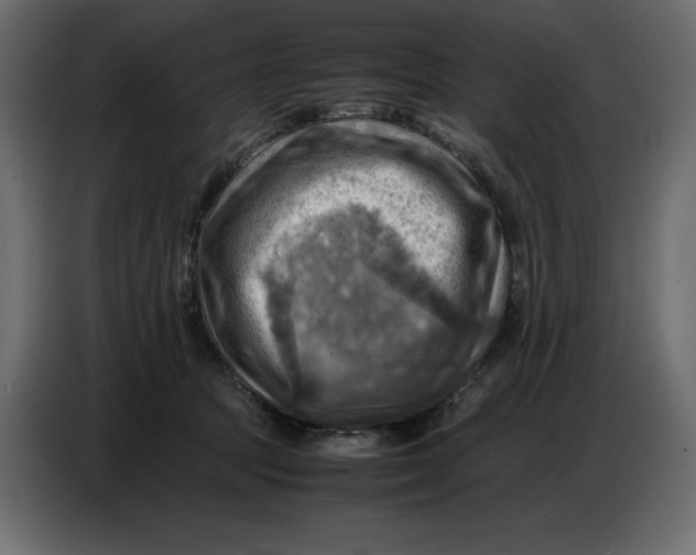 X0000086770369200705041513
