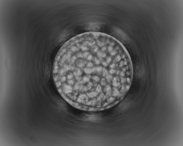 X0000086770370200705041513