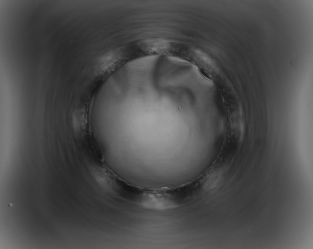 X0000086770372200705041513