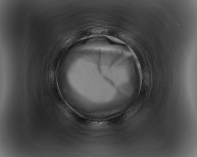 X0000086770375200705041513