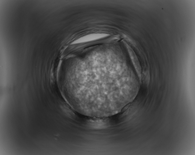 X0000086770381200705041513
