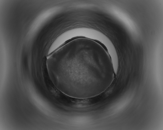 X0000086770382200705041513