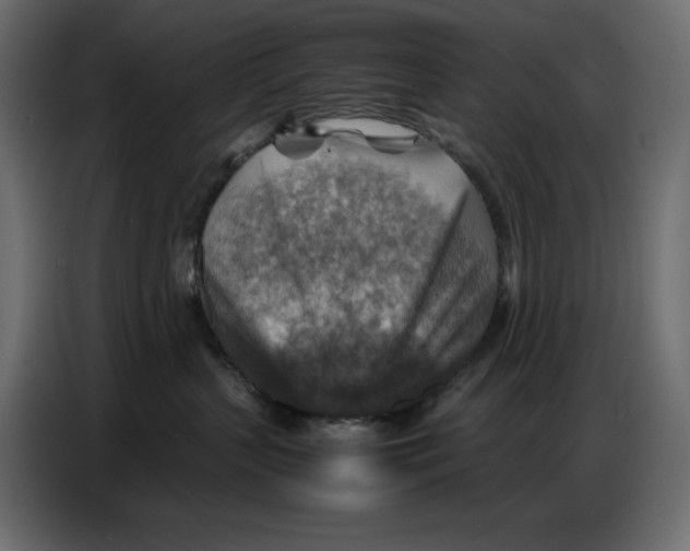 X0000086770383200705041513