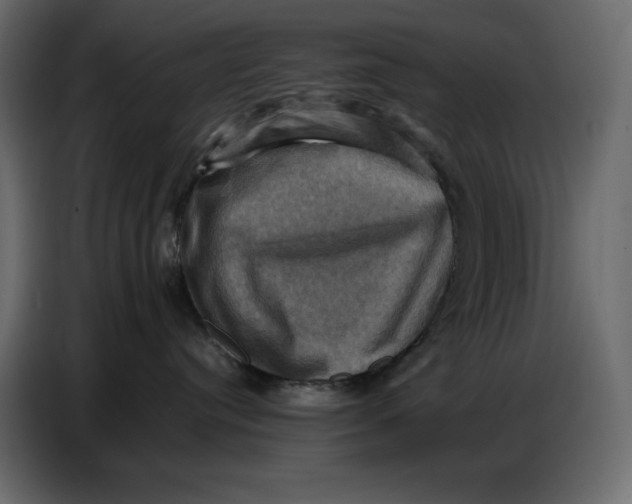 X0000086770384200705041513