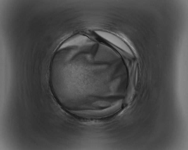 X0000086770385200705041512