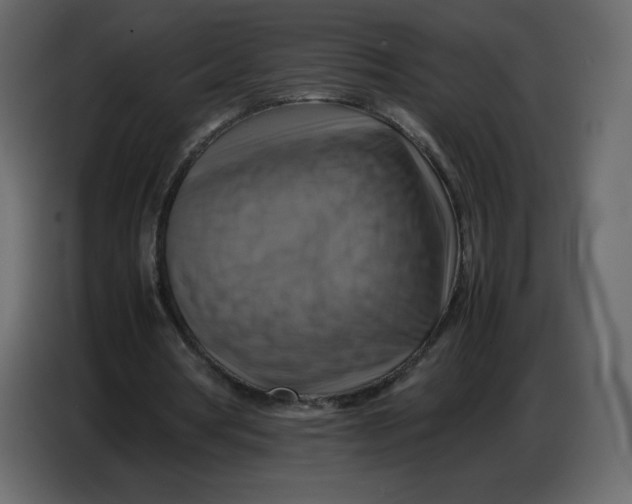 X0000086770386200705041512