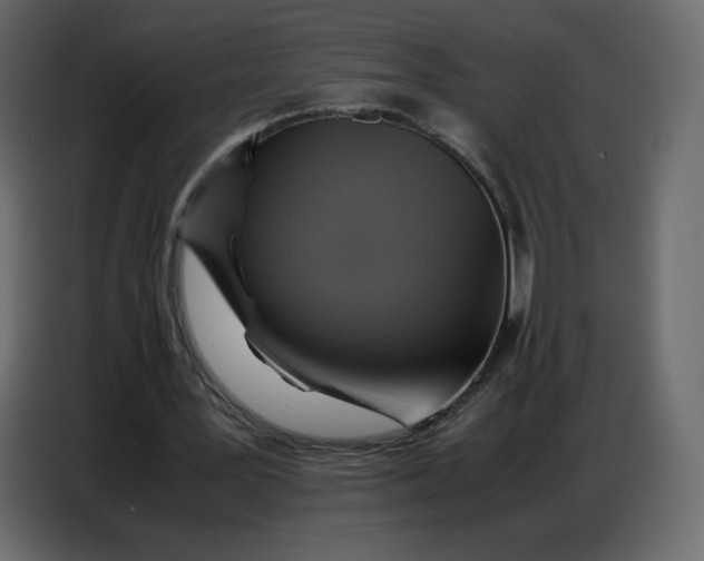 X0000086770387200705041512