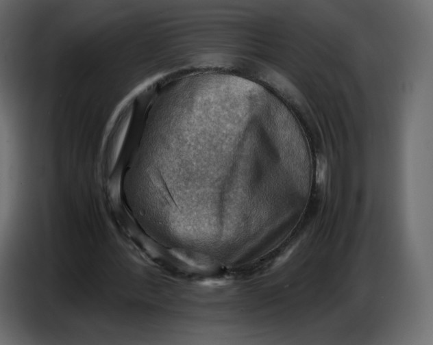 X0000086770388200705041512