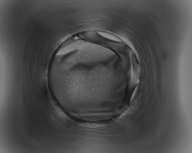 X0000086770389200705041512