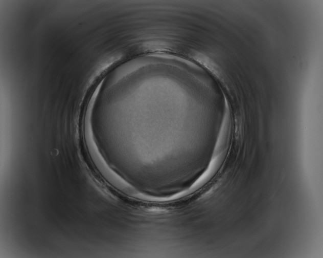 X0000086770390200705041512