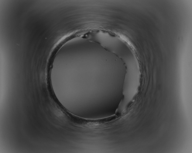 X0000086770391200705041512