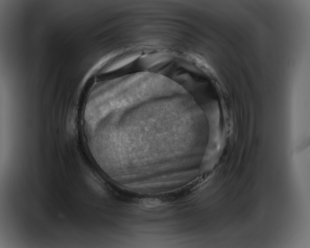 X0000086770392200705041512