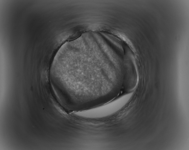 X0000086770393200705041512