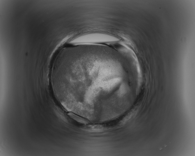 X0000086770395200705041512