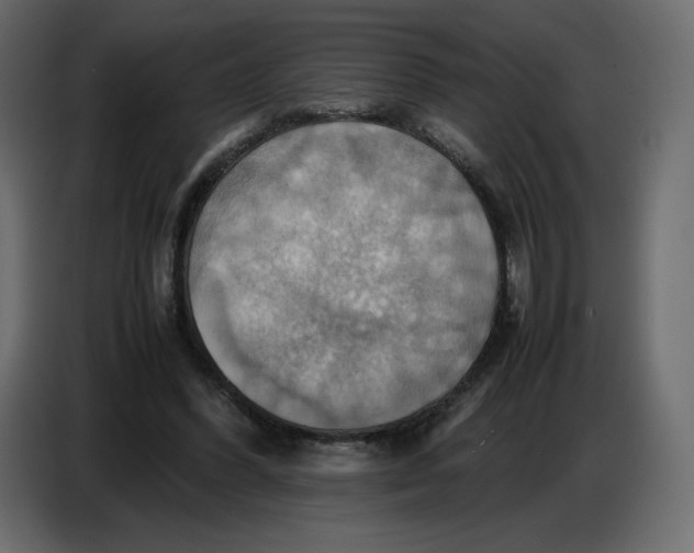 X0000086770396200705041512