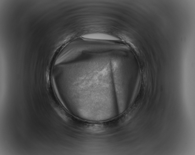 X0000086770398200705041512