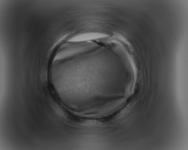 X0000086770399200705041512