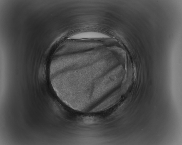 X0000086770400200705041512