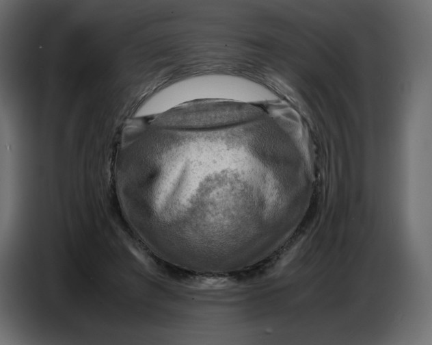 X0000086770401200705041512