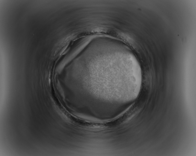 X0000086770402200705041512