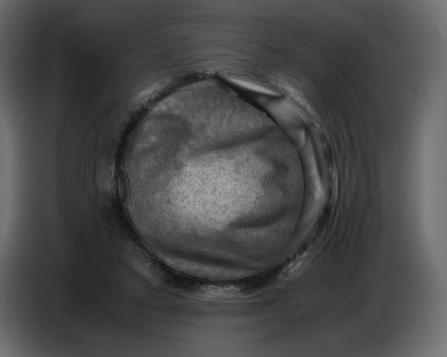 X0000086770403200705041512