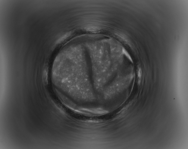 X0000086770404200705041512