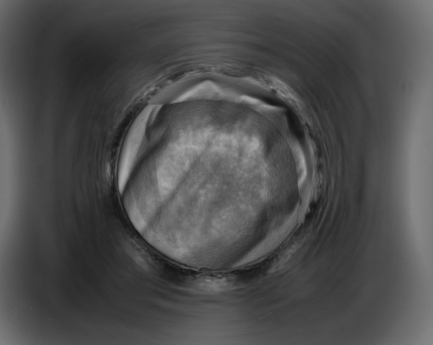 X0000086770405200705041512