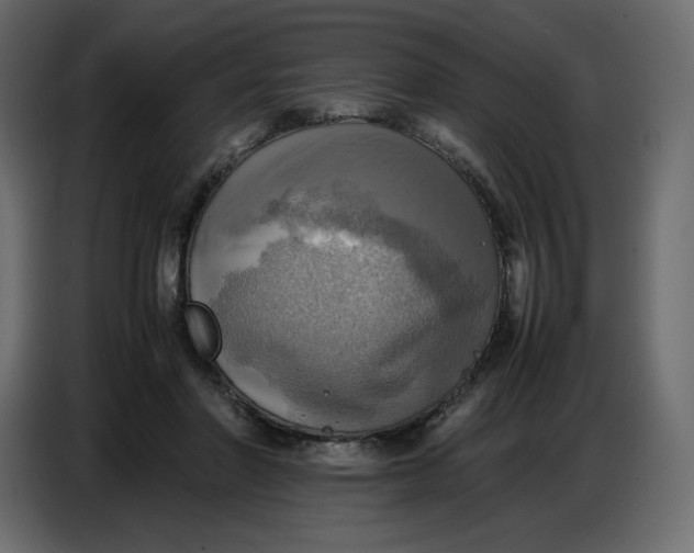 X0000086770406200705041512