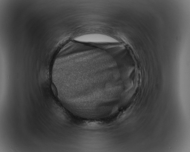 X0000086770407200705041512