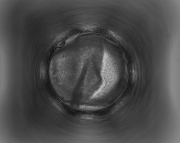 X0000086770408200705041512