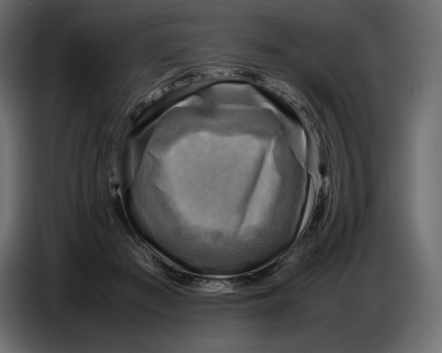X0000086770409200705041512
