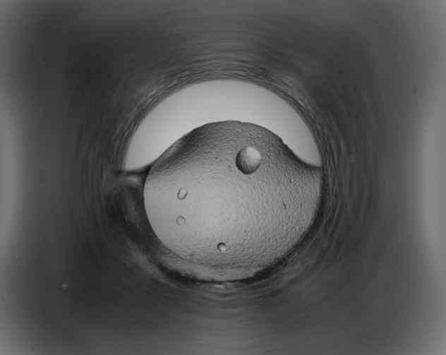 X0000086770411200705041512
