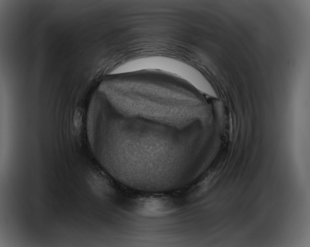 X0000086770412200705041512