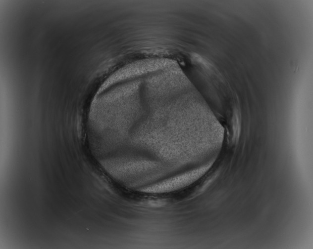 X0000086770416200705041512