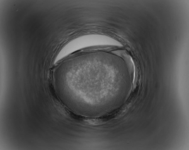 X0000086770417200705041512
