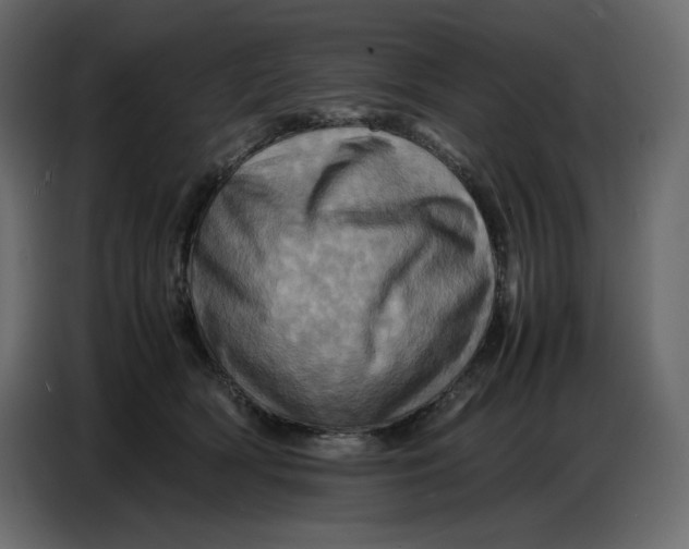 X0000086770418200705041512