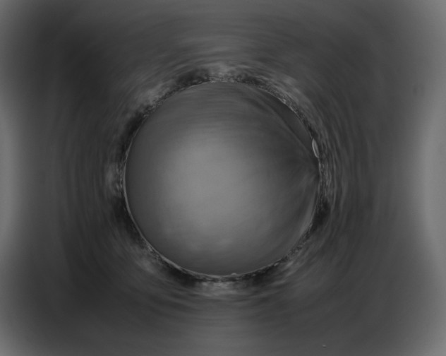 X0000086770419200705041512