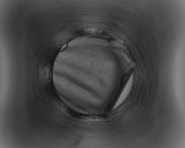 X0000086770420200705041512