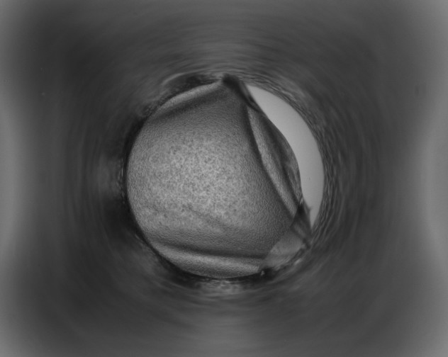 X0000086770421200705041512