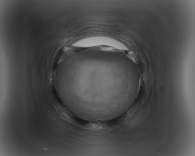 X0000086770423200705041512