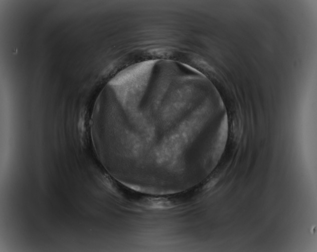 X0000086770424200705041512