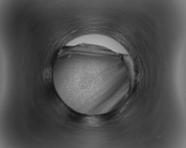 X0000086770425200705041512