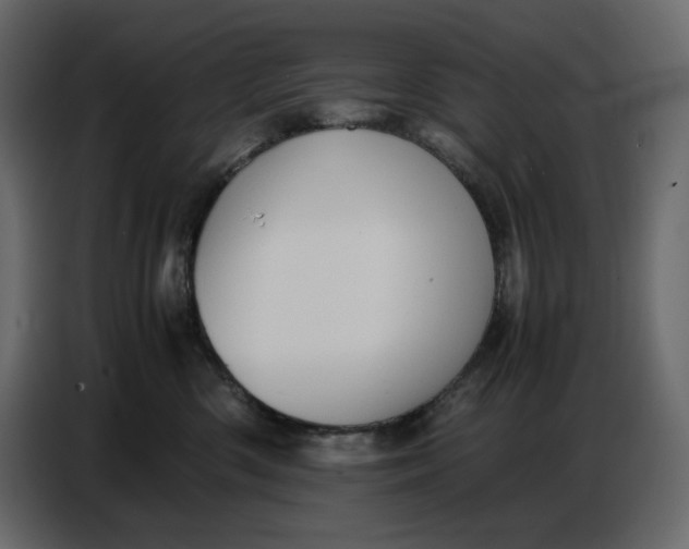 X0000086770426200705041512