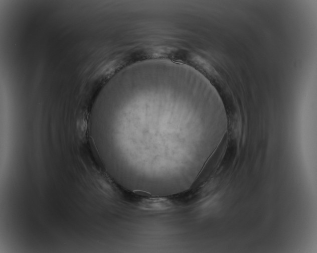 X0000086770427200705041512