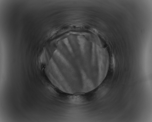 X0000086770428200705041512