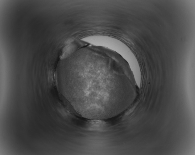 X0000086770429200705041512