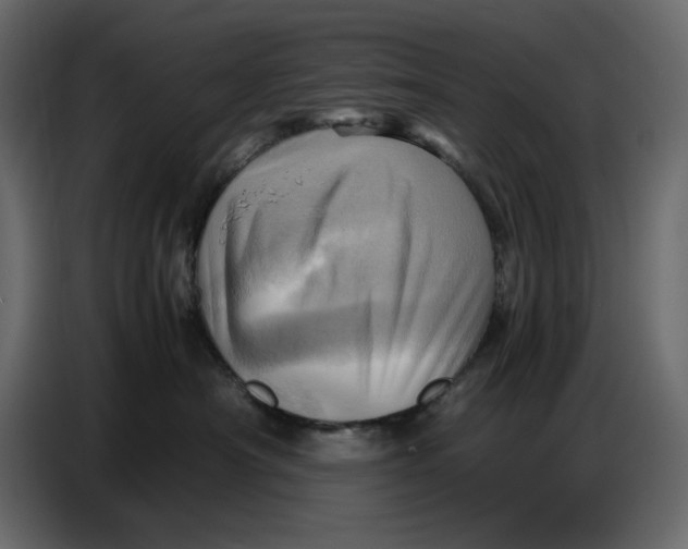 X0000086770430200705041512